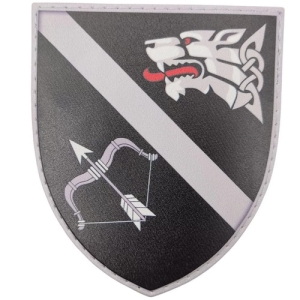 Шеврон ССО Спеціальна тактична група Ірпінь