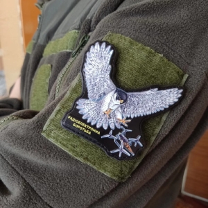 Шеврон Птах і напис Радіоелектронна боротьба