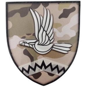 Шеврон ЗСУ 10 ОШБ у складі 59 Окремої штурмової бригади безпілотних систем мультикам