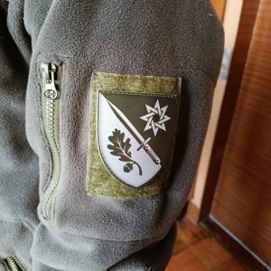 Шеврон ЗСУ 152 ОЄБр олива