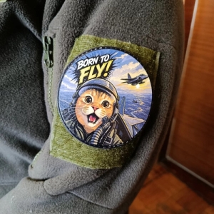 Шеврон Born to Fly