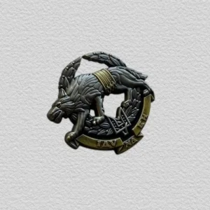 Значок емблема ССО