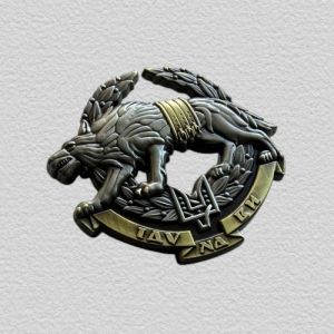 Значок емблема ССО