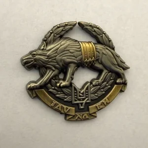 Значок емблема ССО