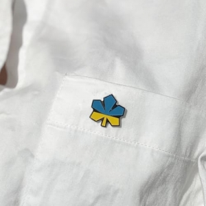 Значок Каштан желто-голубой