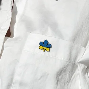 Значок Каштан Жовто-блакитний