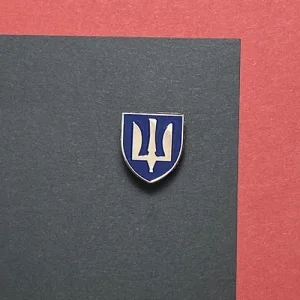 Значок ПС ЗСУ Грозове небо нікель