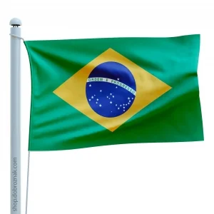 Флаг Бразилии (60х84 см, атлас)