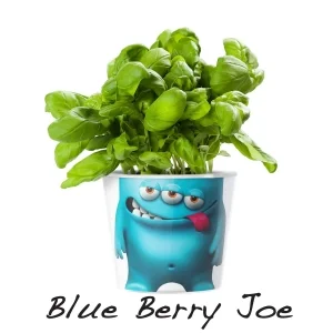 MyFacepot Plantmonster Blueberry Joe