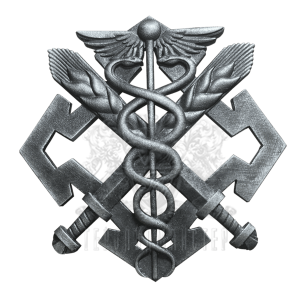 Беретний знак Сил логістики