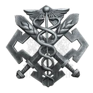 Беретний знак Сил логістики