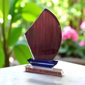 Кришталева нагорода 03AW600