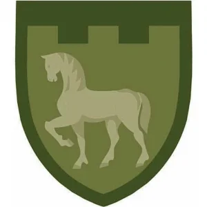 Нашивка ТрО 111 бригады ВСУ Луганск полевой