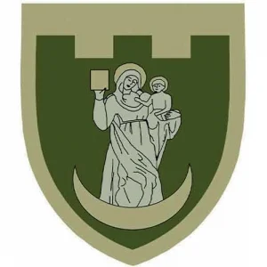 Нашивка ТрО 117 бригади ЗСУ Суми польовий