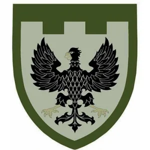 Нашивка ТрО 119 бригады ВСУ Чернигов полевой