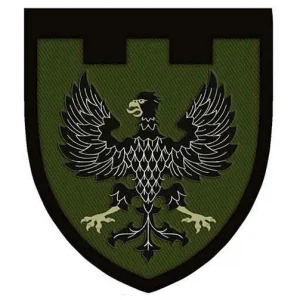 Нашивка ТрО 119 бригади ЗСУ Чернігів темна олива