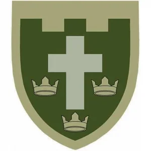 Нашивка ТрО 124 бригады ВСУ Херсон полевой