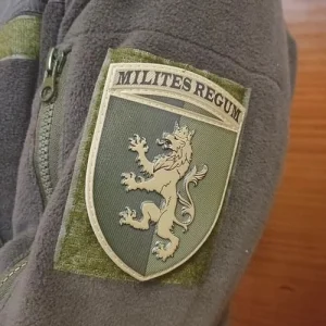 Нашивка ЗСУ 24 окрема механізована бригада імені короля Данила польовий об'ємний