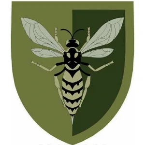 Нашивка ВСУ 38 зенитный ракетный полк ОК Юг полевой