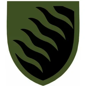 Нашивка ЗСУ 55 окрема артилерійська бригада ОК Схід польовий