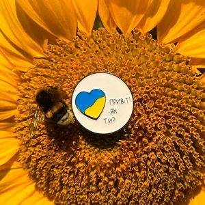 Значок Здравствуй, как ты?