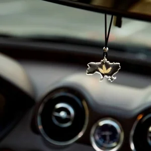 Підвіска в авто Patriot Мапа України