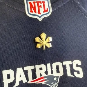 Значок Золотий Каштан