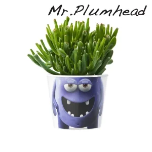 MyFacepot Plantmonster Mr. Plumhead