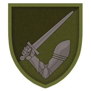 Шеврон рука з мечем 117-та ОМБр олива