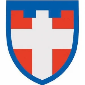 Шеврон ТрО 100 бригади ЗСУ Волинь