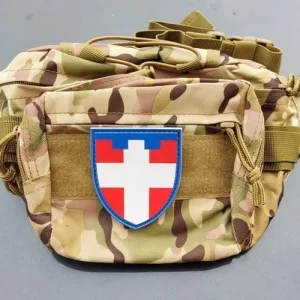 Шеврон ТрО 100 бригади ЗСУ Волинь