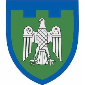 Шеврон ТрО 107 бригади ЗСУ Чернівці