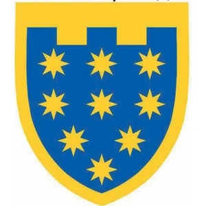 Шеврон ТрО 108 бригади ЗСУ Дніпро