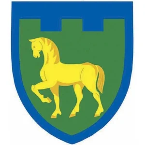 Шеврон ТрО 111 бригади ЗСУ Луганськ