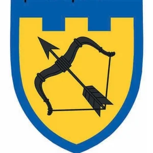 Шеврон ТрО 113 бригади ЗСУ Харків