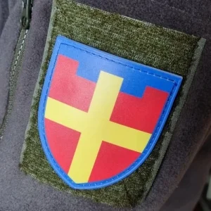 Шеврон ТрО 115 бригады ВСУ Житомир