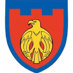 Шеврон ТрО 121 бригады ВСУ Кировоград