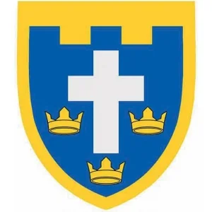 Шеврон ТрО 124 бригади ЗСУ Херсон