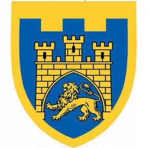 Шеврон ТрО 125 бригады ВСУ Львов