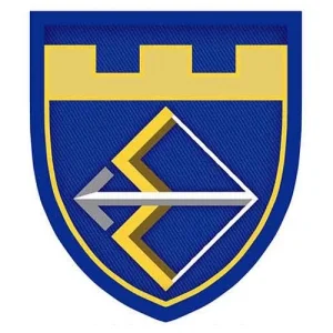 Шеврон ТрО 241 бригади ЗСУ