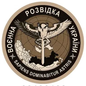 Шеврон ВРУ сова койот об'ємний