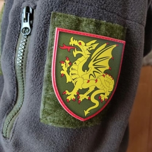 Шеврон ВСУ 107 РеАБр