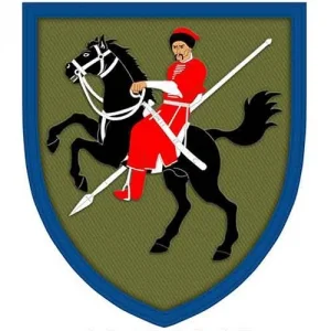 Шеврон ЗСУ 110 окрема механізована бригада