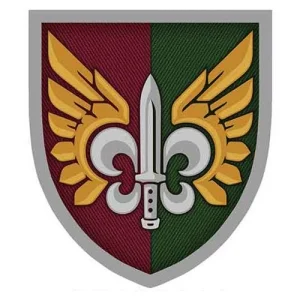 Шеврон ЗСУ 132 окремий розвідувальний батальйон