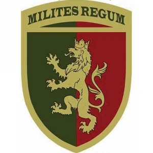 Шеврон ВСУ 24 отдельная механизированная бригада имени короля Даниила объемная