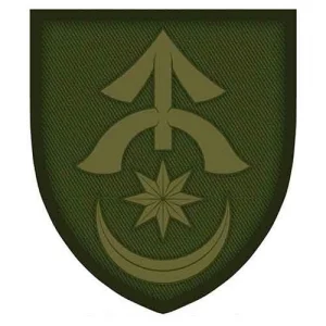 Шеврон ЗСУ 31 окрема механізована бригада об'ємний олива