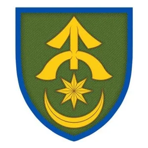 Шеврон ЗСУ 31 окрема механізована бригада об'ємний