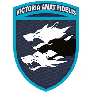 Шеврон ЗСУ 38 ОБрМП Victoria Amat Fidelis