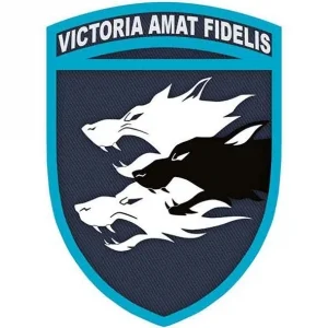 Шеврон ВСУ 38 ОБРМП Victoria Amat Fidelis