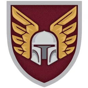 Шеврон ЗСУ 46 окрема аеромобільна бригада